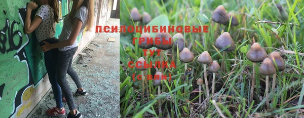 каннабис Кинешма